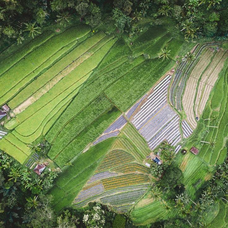 Kids playground area in Netherlands